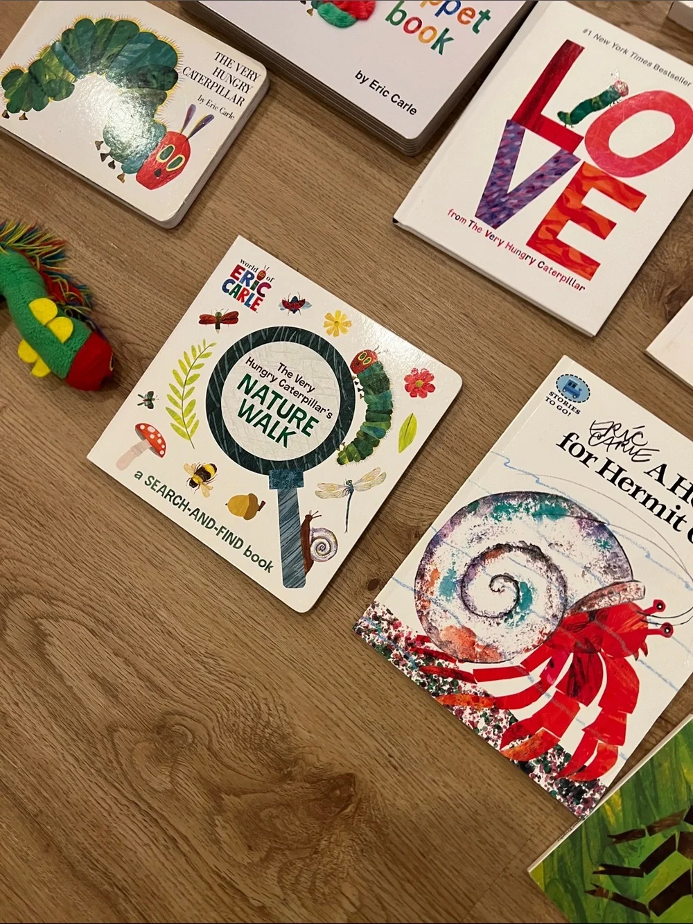 Colorful Educational Animal Board Books Set - Green/Multicolor